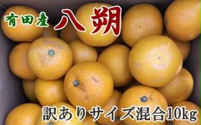 【手選果・訳あり】有田産の八朔10kg（サイズ混合） ※2025年1月下旬～2月下旬頃に順次発送予定