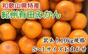 [訳あり]和歌山有田みかん約10kg（S～Lサイズいずれかお届け）
※2024年11月中旬～2025年1月中旬頃に順次発送予定