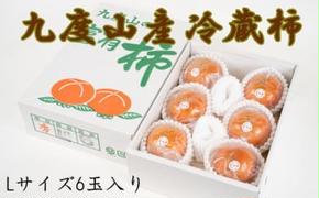 【まごころ栽培】九度山の冷蔵富有柿Lサイズ6玉入り ※2025年1月中旬～2025年2月中旬頃に順次発送予定 ※離島への発送不可