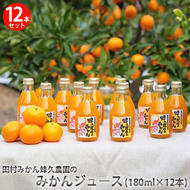 田村みかん蜂久農園のみかんがっつりしぼったでぇ　みかんジュース(180ml×12本)