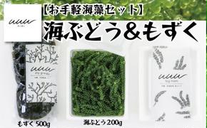 [お手軽沖縄海藻セット]海ぶどう(200g)&もずく(500g)[2024年4月より順次発送]