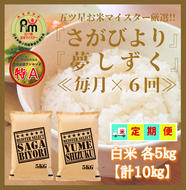 CI673_【白米食べ比べ！】さがびより５kg夢しずく５kg【６回定期便】【五つ星お米マイスター厳選！】