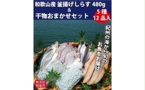 ZB6085n_和歌山産 釜揚げしらす 480g＆干物詰め合わせセット 5種12品入り【無添加・無着色】