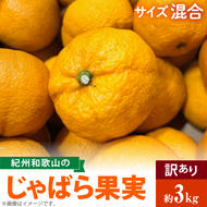 AB6013n_【国産】紀州和歌山の じゃばら 果実 【訳あり ジャバラ 家庭用】 3kg
