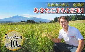 新米 米 お米 【定期便】5kg×8ヶ月 鳥海山の恵み 農家直送！ あきたこまち（玄米）