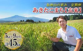 新米 米 お米 【定期便】5kg×9ヶ月 鳥海山の恵み 農家直送！ あきたこまち（玄米）