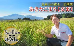 新米 米 お米 【定期便】5kg×11ヶ月 鳥海山の恵み 農家直送！ あきたこまち（玄米）