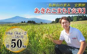 新米 米 お米 【定期便】10kg×5ヶ月 鳥海山の恵み 農家直送！ あきたこまち（玄米・5kg×2袋）