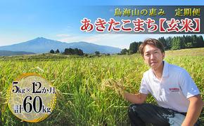 新米 米 お米 【定期便】5kg×12ヶ月 鳥海山の恵み 農家直送！ あきたこまち（玄米）