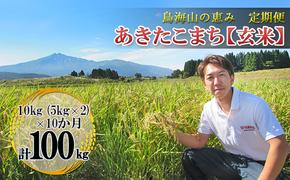 新米 米 お米 【定期便】10kg×10ヶ月 鳥海山の恵み 農家直送！ あきたこまち（玄米・5kg×2袋）