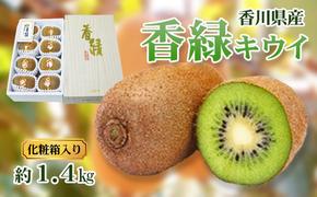 香緑 (こうりょく) キウイ 5L～3Lサイズ 8～10玉 1.4kg 化粧箱 キウイフルーツ フルーツ 果物 くだもの 果実 旬の果物 旬のフルーツ 香川 香川県 東かがわ市