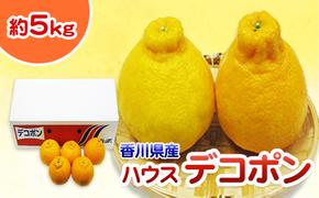 ハウスデコポン 小玉 5kg 香川県産 デコポン でこぽん フルーツ 果物 くだもの 旬のフルーツ 旬の果物 柑橘 柑橘類 ハウス みかん ハウスみかん 香川 香川県 東かがわ市