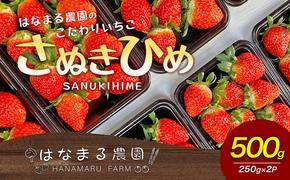 いちご はなまる農園 こだわりいちご さぬきひめ 500g 香川県産 苺 イチゴ フルーツ 果物 くだもの 旬のフルーツ 旬の果物 香川 香川県 東かがわ市