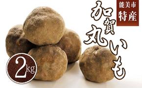 能美市産 加賀丸いも 2kg