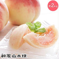 【先行予約】【夏の美味】フルーツ王国　和歌山の桃　約２kg
※北海道・沖縄・離島への配送不可
※2025年6月中旬～7月下旬頃に順次発送予定（fr-06）