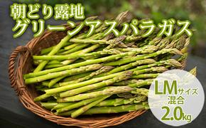 【2025年5月より発送】北海道 富良野市産 アスパラ 緑 (LMサイズ混合) 約2kg 朝どり 露地 グリーン アスパラガス 詰め合わせ 野菜 新鮮 数量限定 先着順【藏ファーム】