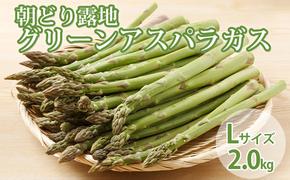 【2025年5月より発送】北海道 富良野市産 アスパラ 緑 (Lサイズ) 約2kg 朝どり 露地 グリーン アスパラガス 詰め合わせ 野菜 新鮮 数量限定 先着順【藏ファーム】