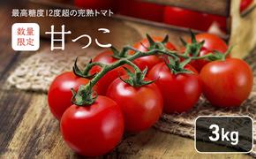 【2025年7月より発送】北海道 富良野市産 完熟ミニトマト（甘っこ）約3kg カラートマト付 トマト 甘い 野菜 新鮮 数量限定 先着順【藏ファーム】