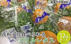 植物工場産　洗わずに食べられるフリルレタス　12袋セット [野菜 水耕栽培 栽培期間中農薬不使用]