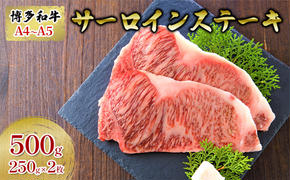 牛肉 サーロインステーキ 合計500g 博多和牛 A4～A5 250g×2枚 セット 配送不可：離島