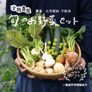 小鶴農園 季節のお野菜7～9品目セット（農薬・化学肥料不使用）【配達不可：北海道・沖縄・離島】