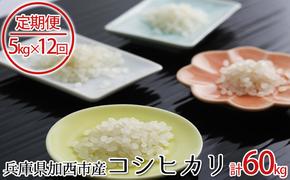 兵庫県加西市産 特A米相当コシヒカリ 5kg×12回【定期便】