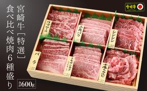 【宮崎牛】 特選 食べ比べ 焼肉 6種盛り 600g [SHINGAKI 宮崎県 美郷町 31ag0080] ロース カルビ 赤身 霜降り 特選赤身 中落カルビ 希少 冷凍 内閣総理大臣賞受賞 宮崎県産 九州産 送料無料 焼肉 BBQ バーベキュー キャンプ