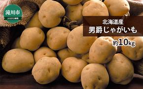 北海道産 男爵じゃがいも 約10kg＜2024年9月下旬～順次出荷＞｜北海道 滝川市 男爵 じゃがいも 野菜 2024年発送 令和6年発送 やさい ジャガイモ