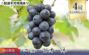 ぶどう 2025年 先行予約 ニュー ピオーネ 4房（1房480g以上） ブドウ 葡萄  岡山県産 国産 フルーツ 果物 ギフト