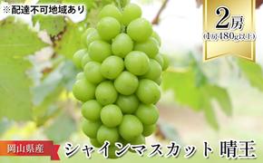 ぶどう 2025年 先行予約 シャイン マスカット 晴王 2房 （1房480g以上） 化粧箱入り マスカット ブドウ 葡萄  岡山県産 国産 フルーツ 果物 ギフト