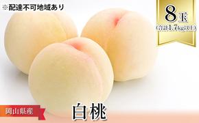 桃 2025年 先行予約 白桃 8玉（合計1.7kg以上）化粧箱入り もも モモ 岡山県産 国産 フルーツ 果物 ギフト