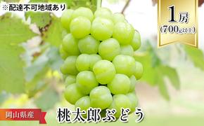 ぶどう 2025年 先行予約 桃太郎 ぶどう 1房（700g以上） ブドウ 葡萄  岡山県産 国産 フルーツ 果物 ギフト