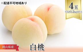 桃 2025年 先行予約 白桃 4玉（合計1.2kg以上）化粧箱入り もも モモ 岡山県産 国産 フルーツ 果物 ギフト