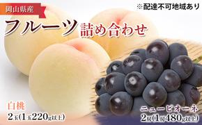 桃 ぶどう 2025年 先行予約 詰め合わせ 白桃 2玉（1玉220g以上）・ニュー ピオーネ２房（1房480g以上）化粧箱入り もも 葡萄 岡山県産 国産 フルーツ 果物 ギフト