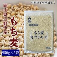 お米 もち麦 米 【通年出荷】岡山県玉野市産 もち麦 キラリモチ 950g×5袋