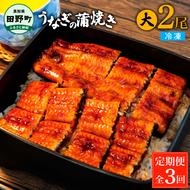 田野町産うなぎの蒲焼き(大) 2尾×3回 定期便 3ヶ月 定期コース 1尾あたり120～150g タレ付き 山椒付き うなぎ 鰻 ウナギ 蒲焼き かば焼き 無頭 おいしい 国産 お取り寄せ 冷凍 配送