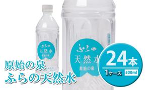 ふらの天然水【原始の泉】500ml×24本入 (水 新鮮 便利 天然 ペットボトル 北海道 送料無料 道産 富良野市 ふらの)