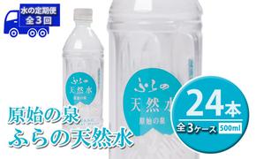 ≪3ヶ月定期便≫ふらの天然水【原始の泉】500ml×24本入  (水 新鮮 便利 天然 ペットボトル 北海道 送料無料 道産 富良野市 ふらの)