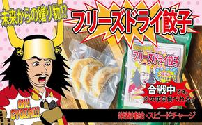 【未来からの贈り物!?】合戦中でもそのまま食べれるフリーズドライ餃子