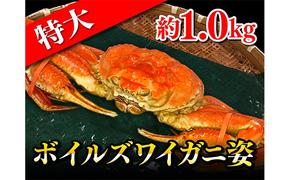 特大ボイルズワイガニ姿　約1.0kg