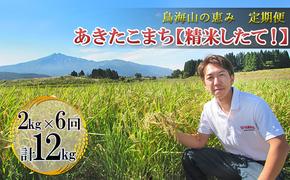 新米 米 お米 《定期便》2kg×6ヶ月 鳥海山の恵み！秋田県産 あきたこまち ひの米（精米）計12kg（2kg×6回連続）