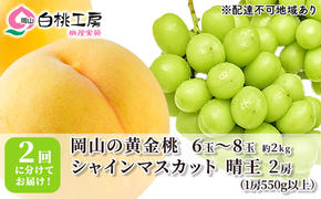 桃 ぶどう 2025年 先行予約 黄金桃 2kg シャインマスカット 晴王 2房 1房550g以上 2回に分けてお届け！もも 葡萄 定期便 岡山 国産 フルーツ 果物 ギフト 桃茂実苑 