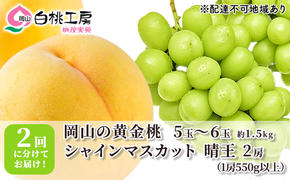 桃 ぶどう 2025年 先行予約 黄金桃 1.5kg シャインマスカット 晴王 2房 1房550g以上 2回に分けてお届け！もも 葡萄 定期便 岡山 国産 フルーツ 果物 ギフト 桃茂実苑 