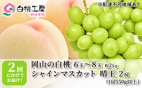 桃 ぶどう 2025年 先行予約 白桃 2kg シャインマスカット 晴王 2房 1房550g以上 2回に分けてお届け！もも 葡萄 定期便 岡山 国産 フルーツ 果物 ギフト 桃茂実苑 