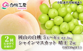 桃 ぶどう 2025年 先行予約 白桃 1.5kg シャインマスカット 晴王 2房 1房550g以上 2回に分けてお届け！ もも 葡萄 定期便 岡山 国産 フルーツ 果物 ギフト 桃茂実苑 