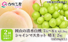 桃 ぶどう 2025年 先行予約 清水 白桃 1.5kg シャインマスカット 晴王 2房 1房550g以上 2回に分けてお届け！ もも 葡萄 定期便 岡山 国産 フルーツ 果物 ギフト 桃茂実苑 