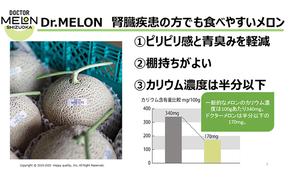 ドクターメロン 低カリウムで腎臓疾患の方も食べやすい（11月・12月お届け）【配送不可：離島】健康 ヘルシー ギフト 贈り物 フルーツ 人気 厳選 袋井市