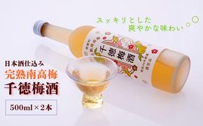 梅酒 千徳梅酒 500ml×2本 [千徳酒造 宮崎県 美郷町 31ad0005] 酒 お酒 果実酒 宮崎県産 送料無料 数量限定 ギフト 母の日 父の日 プレゼント