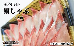 【ふるさと納税】寒ブリ（生・刺身可）しゃぶしゃぶ用（3人前分）魚貝類 魚 海鮮 ブリ 冬ギフト 刺身 しゃぶしゃぶ ブリしゃぶ 鰤 和食