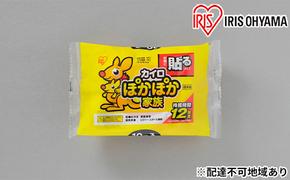 カイロ（240枚）ぽかぽか家族 貼るレギュラー 10P（PKN-10HR）×24箱